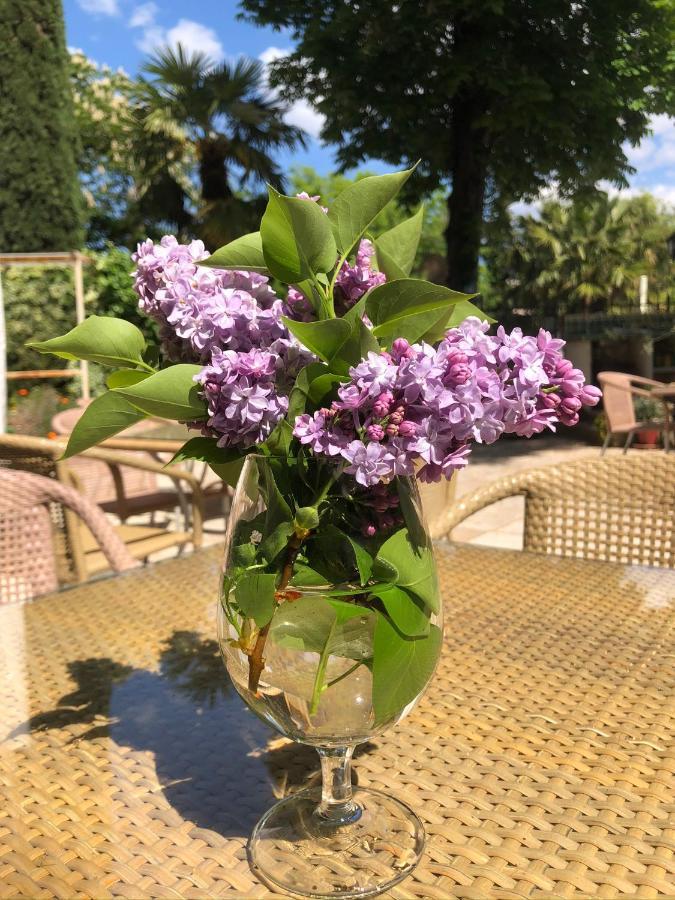 Maison Du Midi Bed & Breakfast Lorgues Bagian luar foto